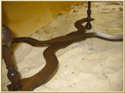 William & Mary Lowboy, photo 6